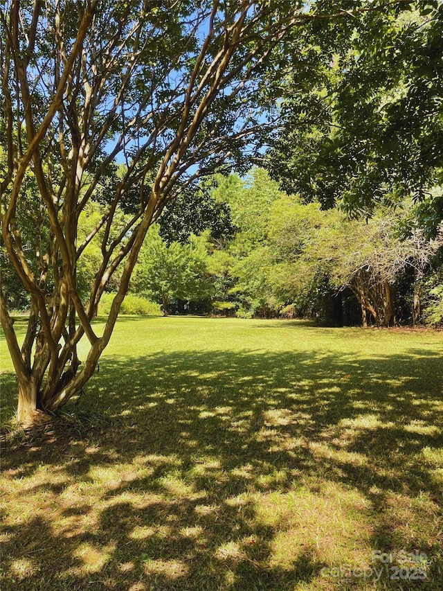1838 Waxhaw Indian Trail Rd, Indian Trail, NC 28079 - photo 12