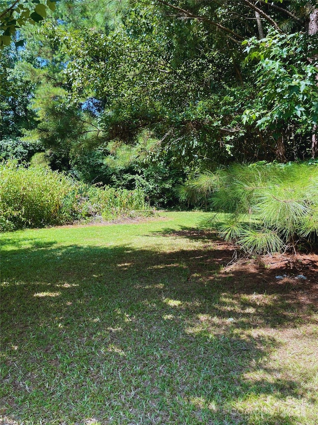 1838 Waxhaw Indian Trail Rd, Indian Trail, NC 28079 - photo 15