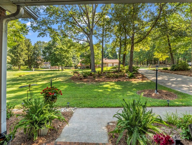 869 Hunting Ave, Lincolnton, NC 28092 - photo 5
