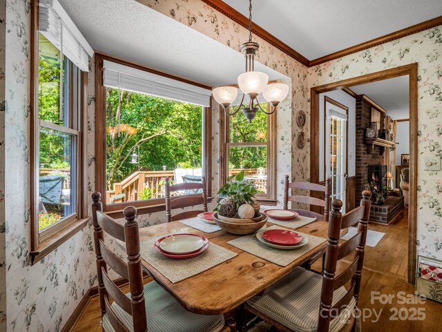 869 Hunting Ave, Lincolnton, NC 28092 - photo 11