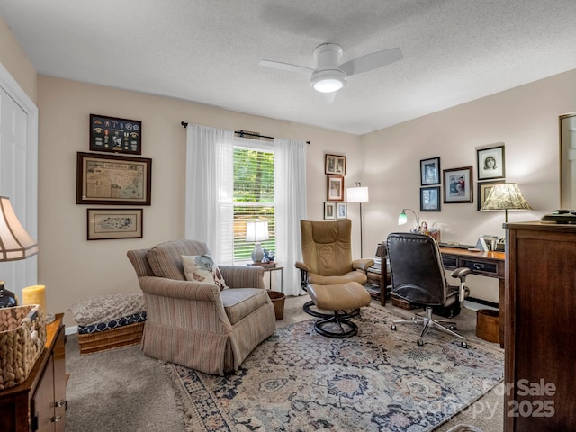869 Hunting Ave, Lincolnton, NC 28092 - photo 26