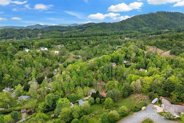 153 Arrowood Corner Rd, Mars Hill, NC 28754 - photo 35