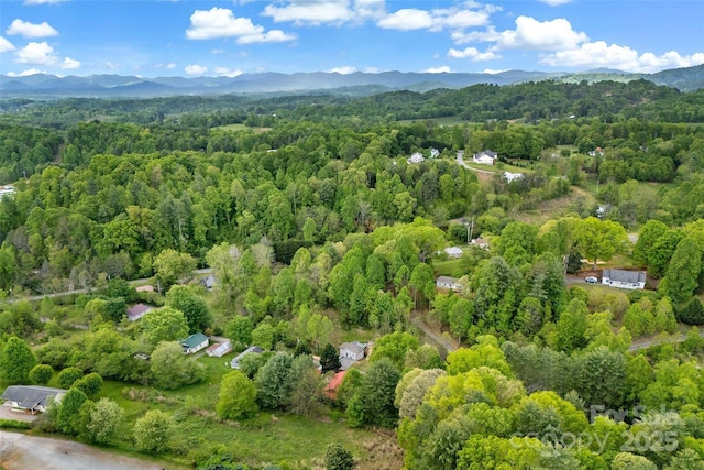 153 Arrowood Corner Rd, Mars Hill, NC 28754 - photo 37