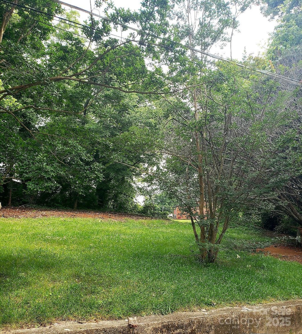 512 Wagner St, Statesville, NC 28677 - photo 2