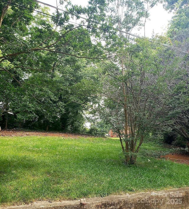 512 Wagner St, Statesville, NC 28677 - photo 2
