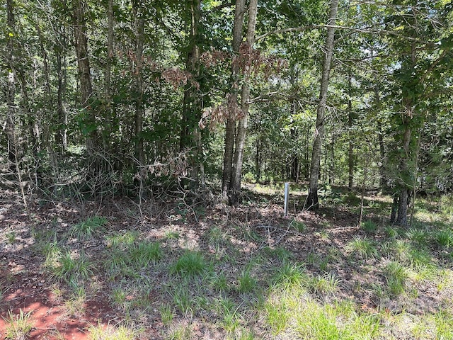 547 Stewart Rock Rd, Stony Point, NC 28678 - photo 3