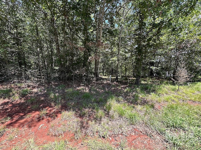 547 Stewart Rock Rd, Stony Point, NC 28678 - photo 4