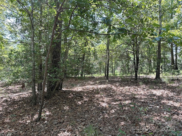 547 Stewart Rock Rd, Stony Point, NC 28678 - photo 5