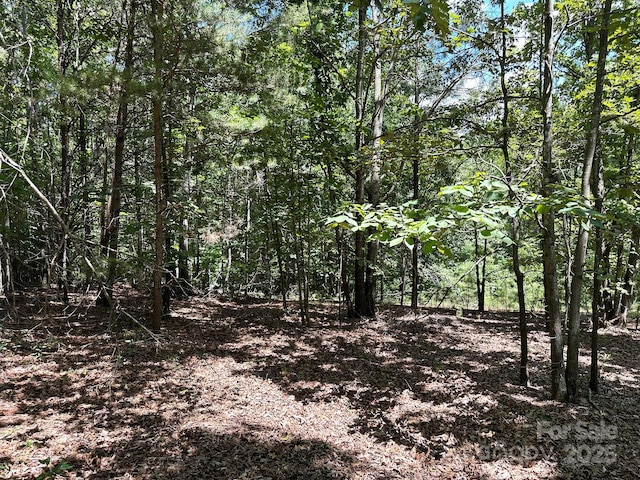 547 Stewart Rock Rd, Stony Point, NC 28678 - photo 6