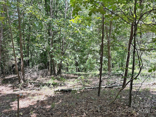 547 Stewart Rock Rd, Stony Point, NC 28678 - photo 7