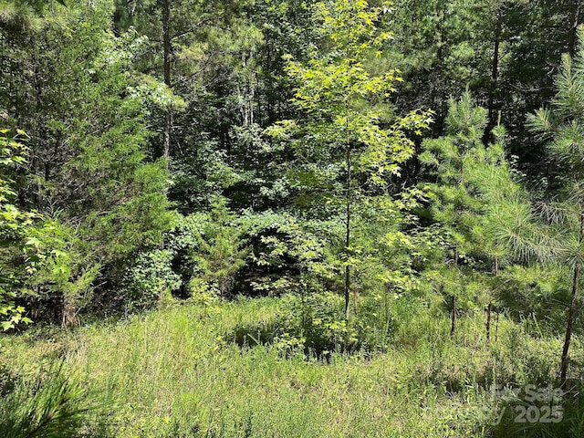 547 Stewart Rock Rd, Stony Point, NC 28678 - photo 8
