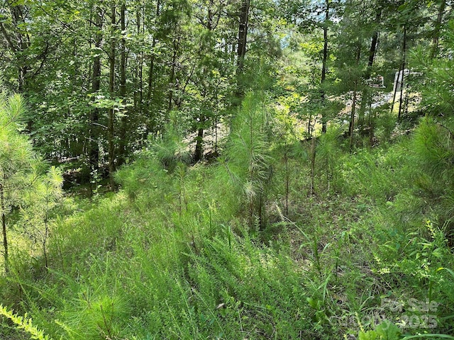 547 Stewart Rock Rd, Stony Point, NC 28678 - photo 9