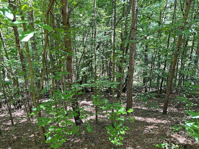 547 Stewart Rock Rd, Stony Point, NC 28678 - photo 10