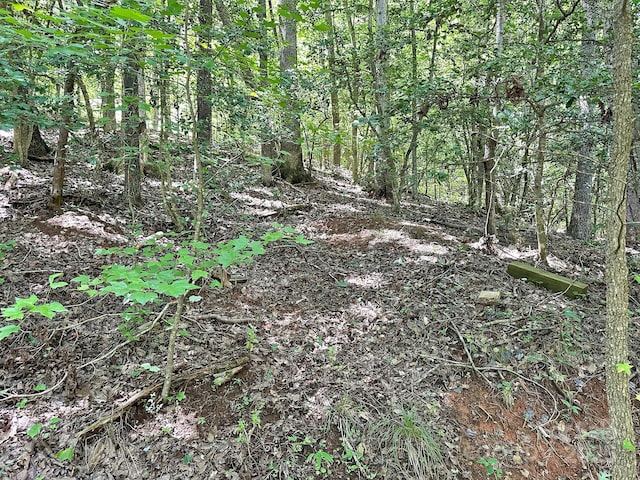 547 Stewart Rock Rd, Stony Point, NC 28678 - photo 11
