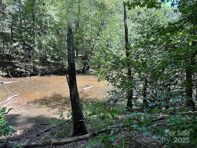 547 Stewart Rock Rd, Stony Point, NC 28678 - photo 14