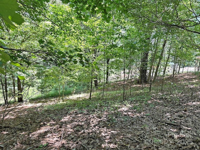 547 Stewart Rock Rd, Stony Point, NC 28678 - photo 17