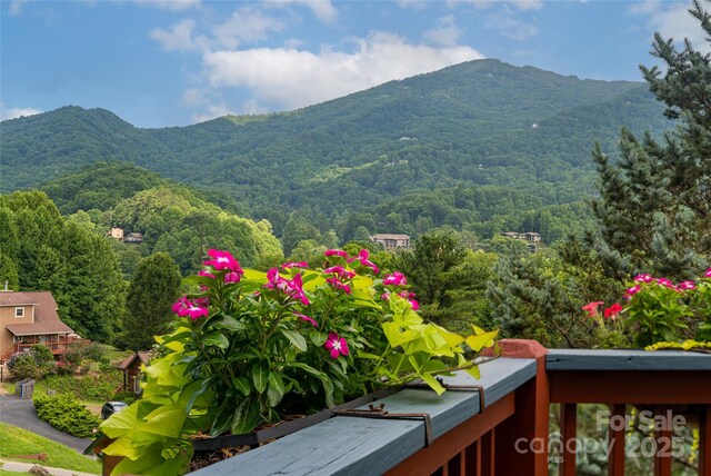 105 Appalachian Trl, Maggie Valley, NC 28751 - photo 3