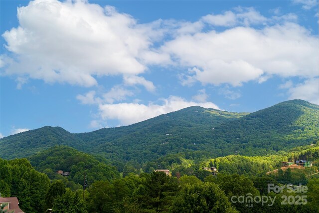 105 Appalachian Trl, Maggie Valley, NC 28751 - photo 4
