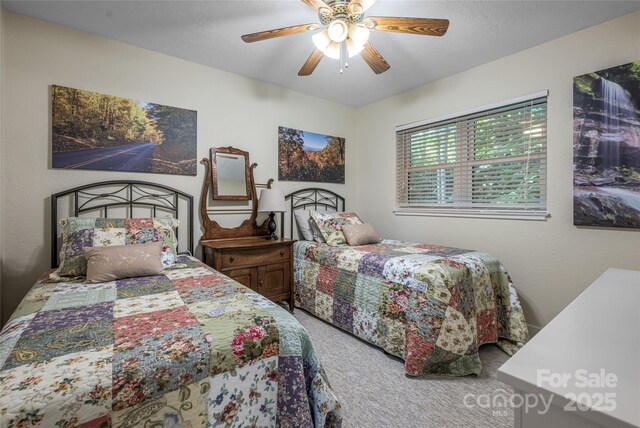 105 Appalachian Trl, Maggie Valley, NC 28751 - photo 29
