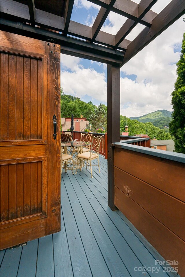 105 Appalachian Trl, Maggie Valley, NC 28751 - photo 35