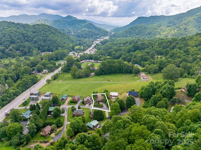 105 Appalachian Trl, Maggie Valley, NC 28751 - photo 44