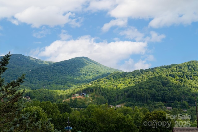 105 Appalachian Trl, Maggie Valley, NC 28751 - photo 45