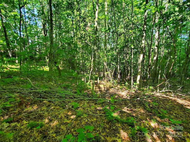 00 Staton Ridge Rd, Saluda, NC 28773 - photo 22