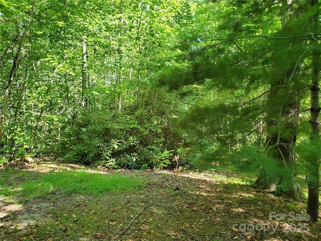 00 Staton Ridge Rd, Saluda, NC 28773 - photo 3