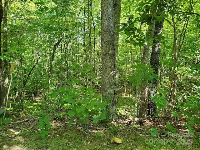 00 Staton Ridge Rd, Saluda, NC 28773 - photo 5