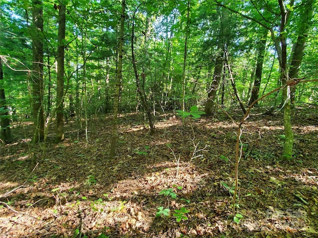 00 Staton Ridge Rd, Saluda, NC 28773 - photo 8