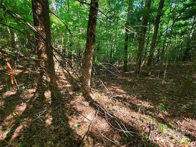 00 Staton Ridge Rd, Saluda, NC 28773 - photo 10