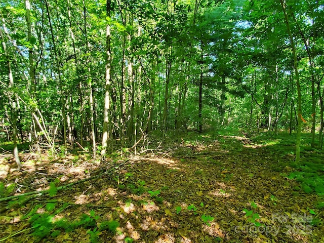 00 Staton Ridge Rd, Saluda, NC 28773 - photo 11