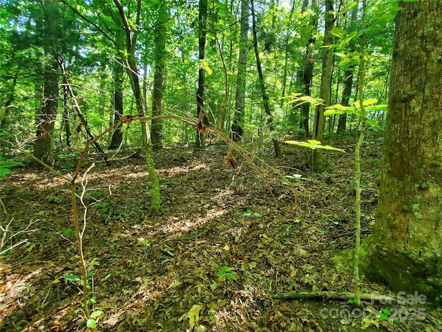 00 Staton Ridge Rd, Saluda, NC 28773 - photo 12