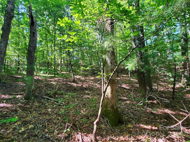 00 Staton Ridge Rd, Saluda, NC 28773 - photo 14
