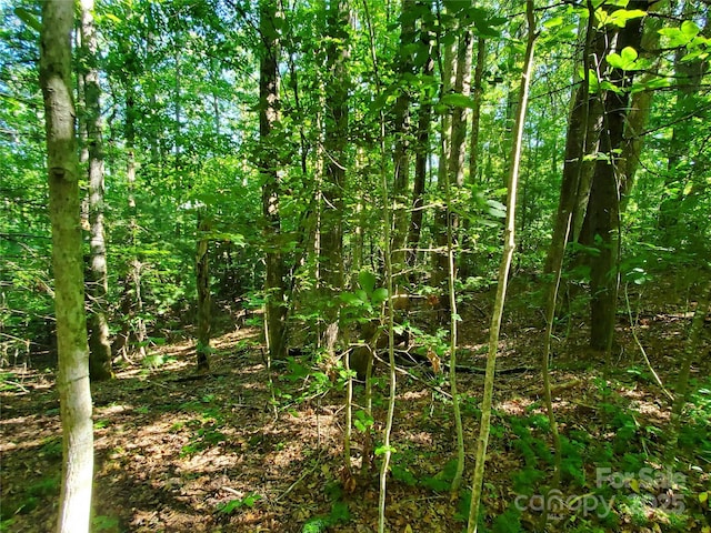 00 Staton Ridge Rd, Saluda, NC 28773 - photo 16
