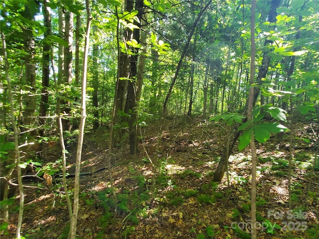 00 Staton Ridge Rd, Saluda, NC 28773 - photo 17