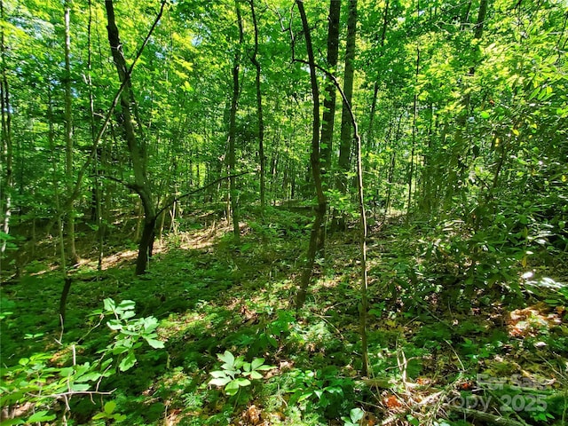 00 Staton Ridge Rd, Saluda, NC 28773 - photo 18