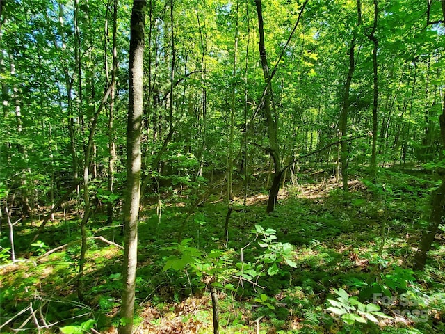 00 Staton Ridge Rd, Saluda, NC 28773 - photo 19