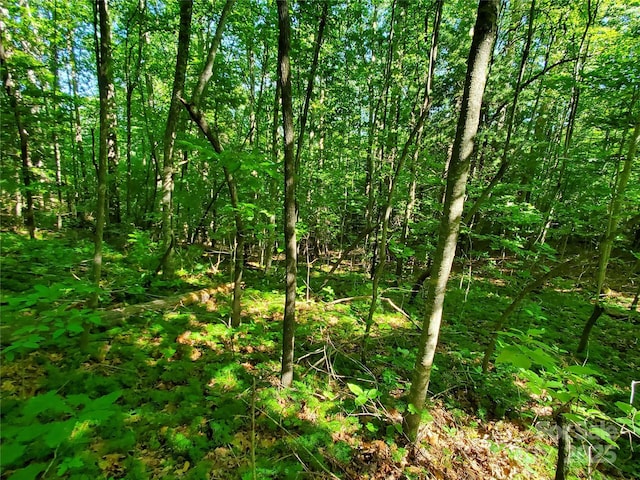 00 Staton Ridge Rd, Saluda, NC 28773 - photo 20