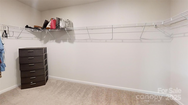 1548 Cannan Mountain Dr, Newton, NC 28658 - photo 13