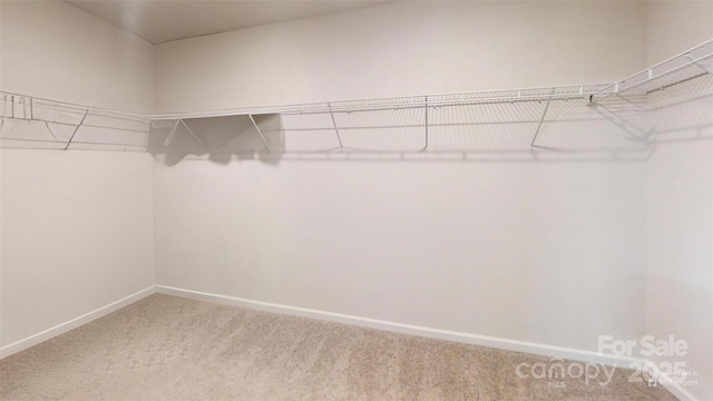 1548 Cannan Mountain Dr, Newton, NC 28658 - photo 21