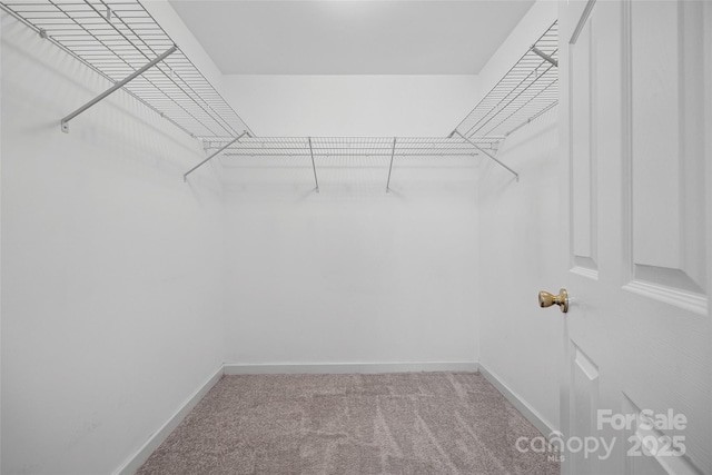 1961 Williford Woods Ln, Rock Hill, SC 29730 - photo 11