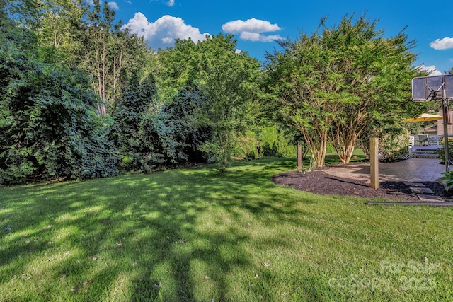 5 Fairway Dr, Arden, NC 28704 - photo 32