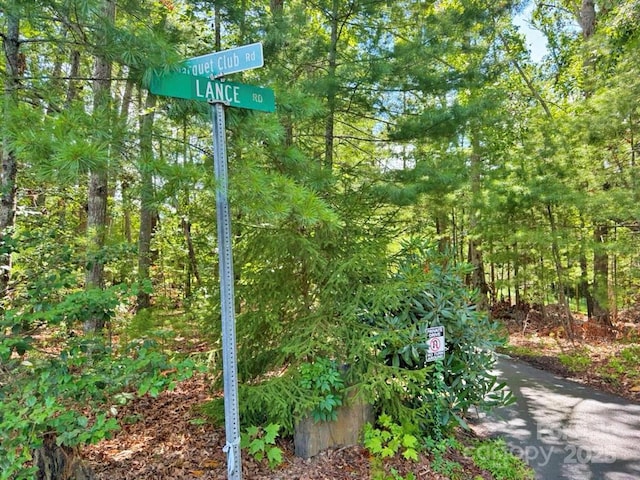 99999 Racquet Club Rd, Asheville, NC 28803 - photo 4