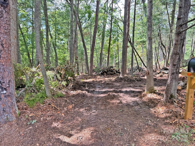 99999 Racquet Club Rd, Asheville, NC 28803 - photo 5