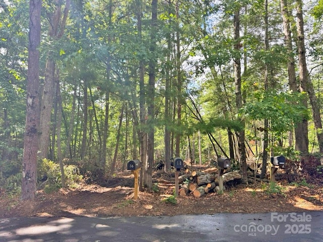 99999 Racquet Club Rd, Asheville, NC 28803 - photo 6