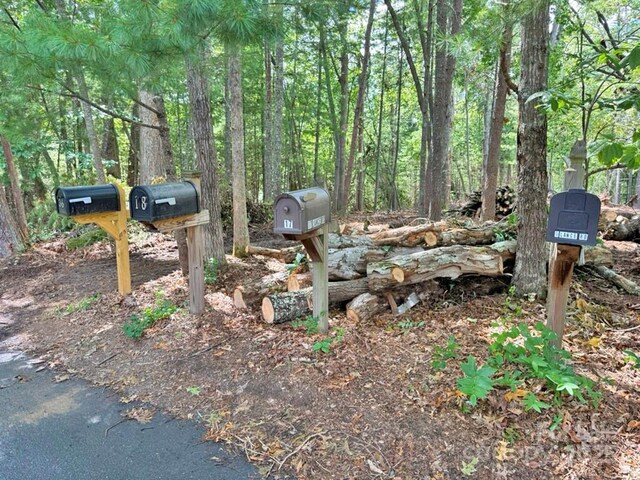 99999 Racquet Club Rd, Asheville, NC 28803 - photo 7