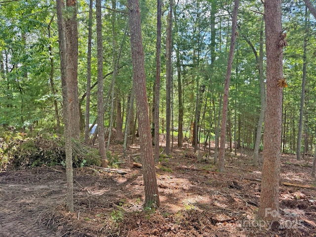 99999 Racquet Club Rd, Asheville, NC 28803 - photo 8
