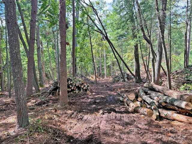 99999 Racquet Club Rd, Asheville, NC 28803 - photo 9