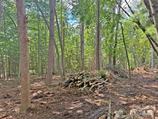 99999 Racquet Club Rd, Asheville, NC 28803 - photo 10